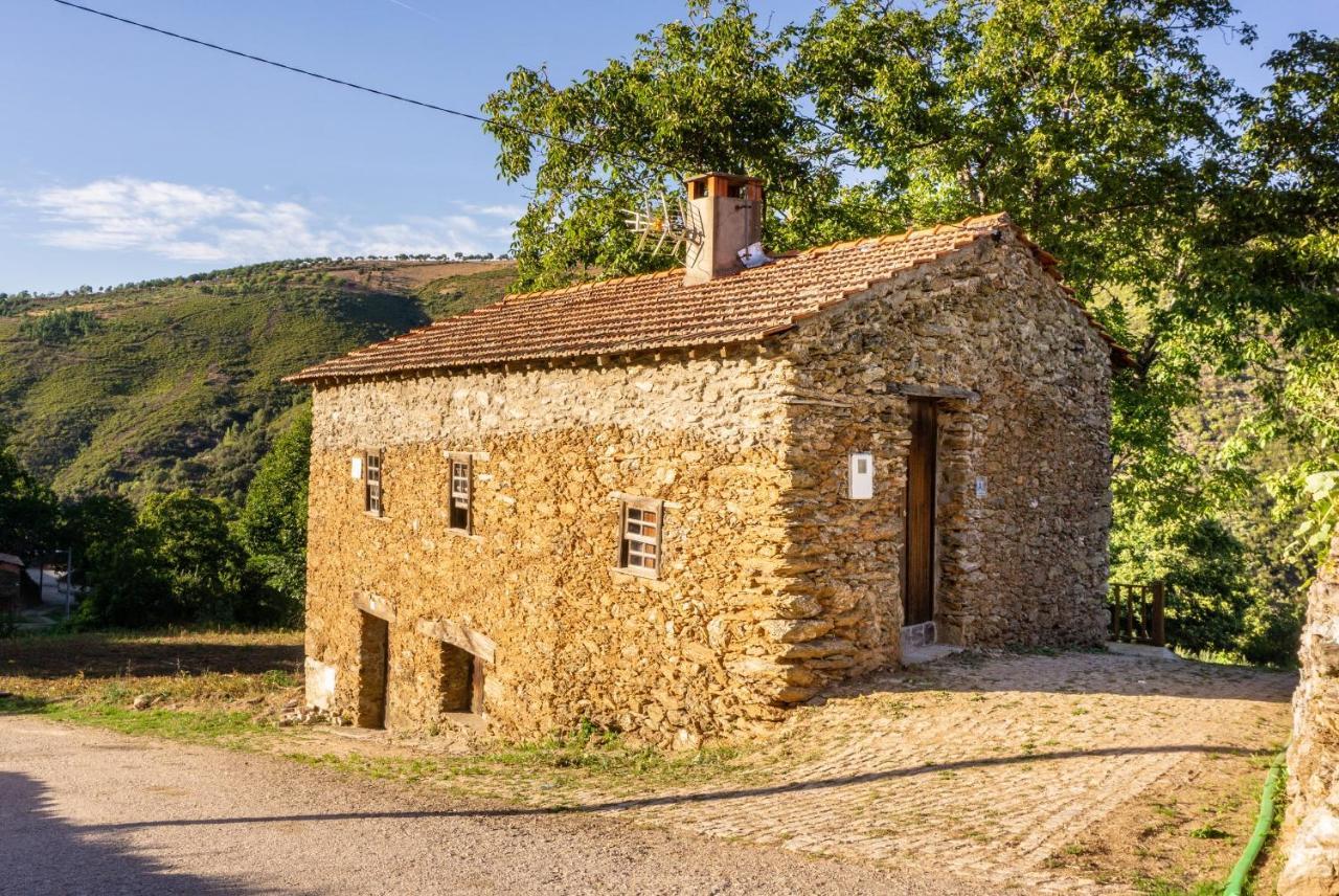 Casa Da Corrica - Alojamento Local Negreda Esterno foto